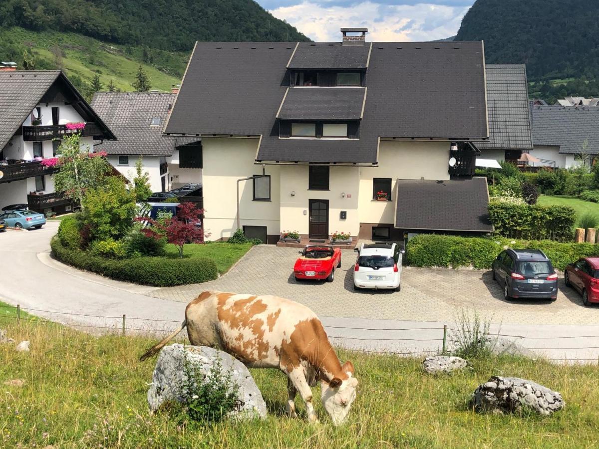 Apartment In The Heart Of Nature Bohinj Luaran gambar